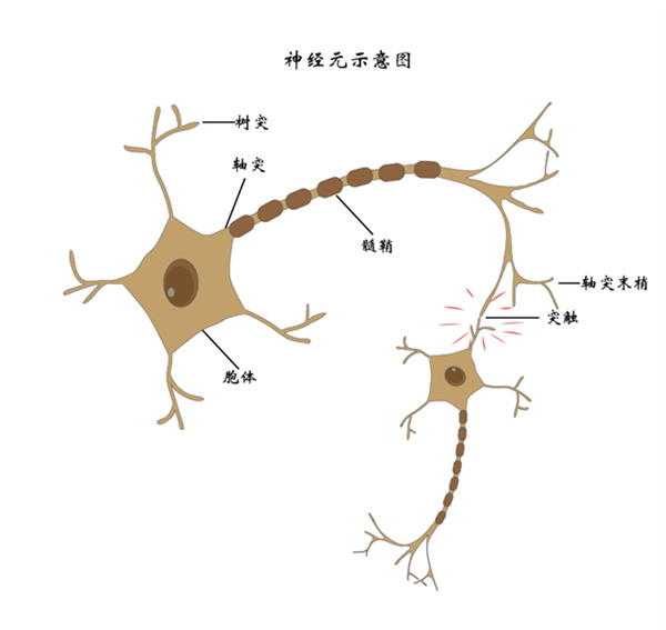 迵 (9).jpg