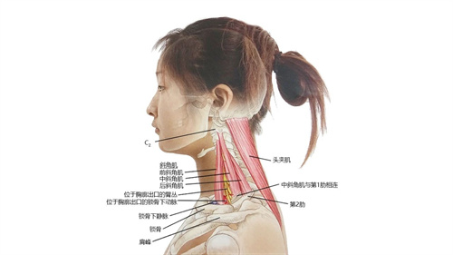微信图片_20230520215550.jpg 微信图片_20230520215550.jpg