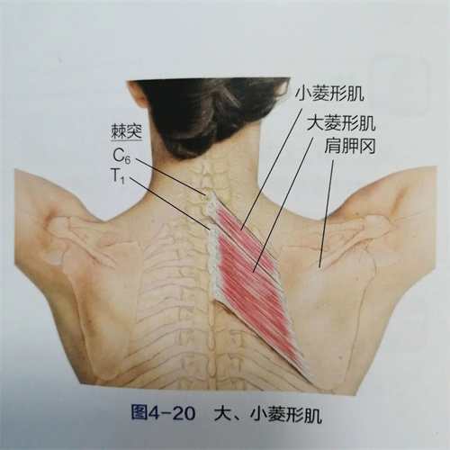 微信图片_20230520215546.jpg 微信图片_20230520215546.jpg